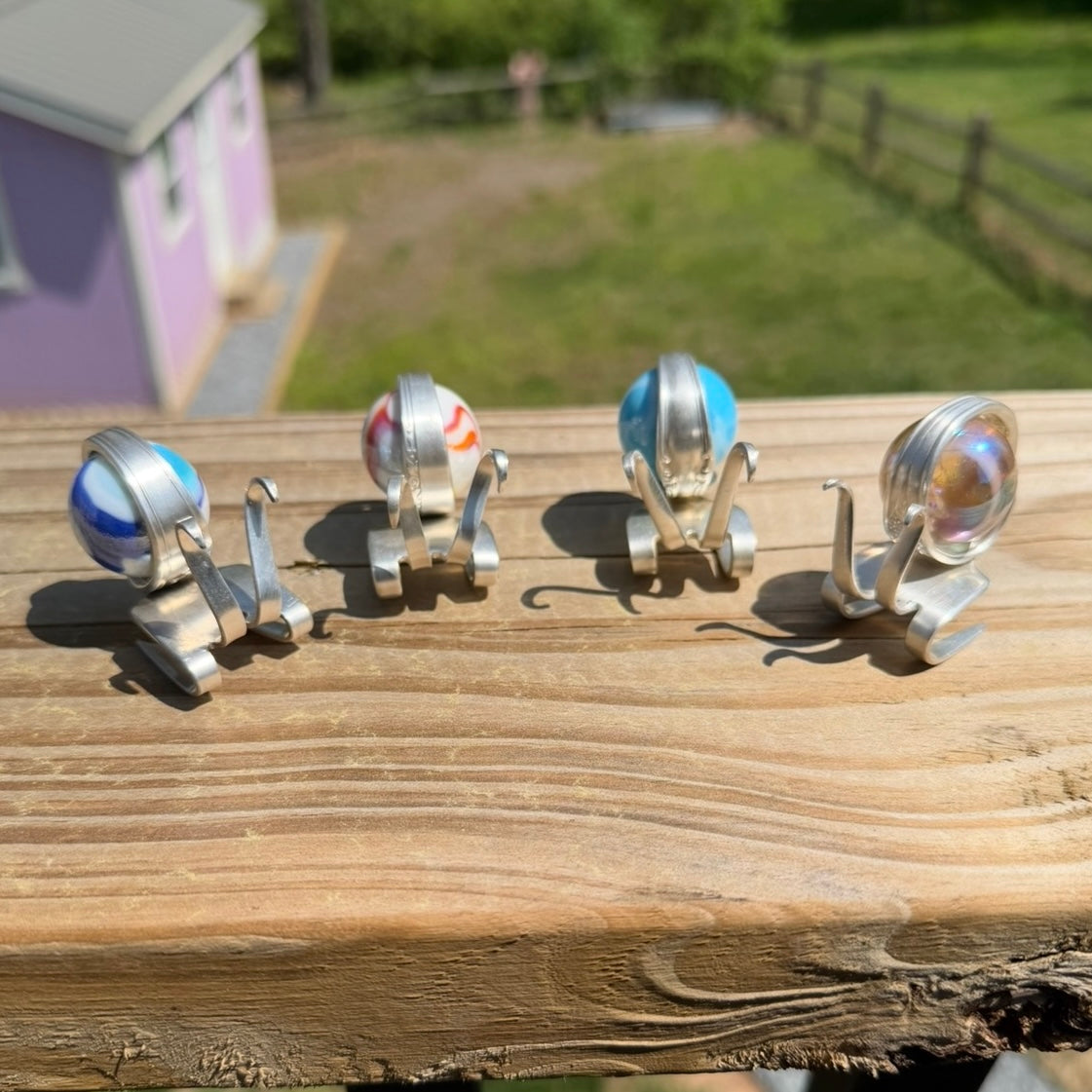 Garden Snails