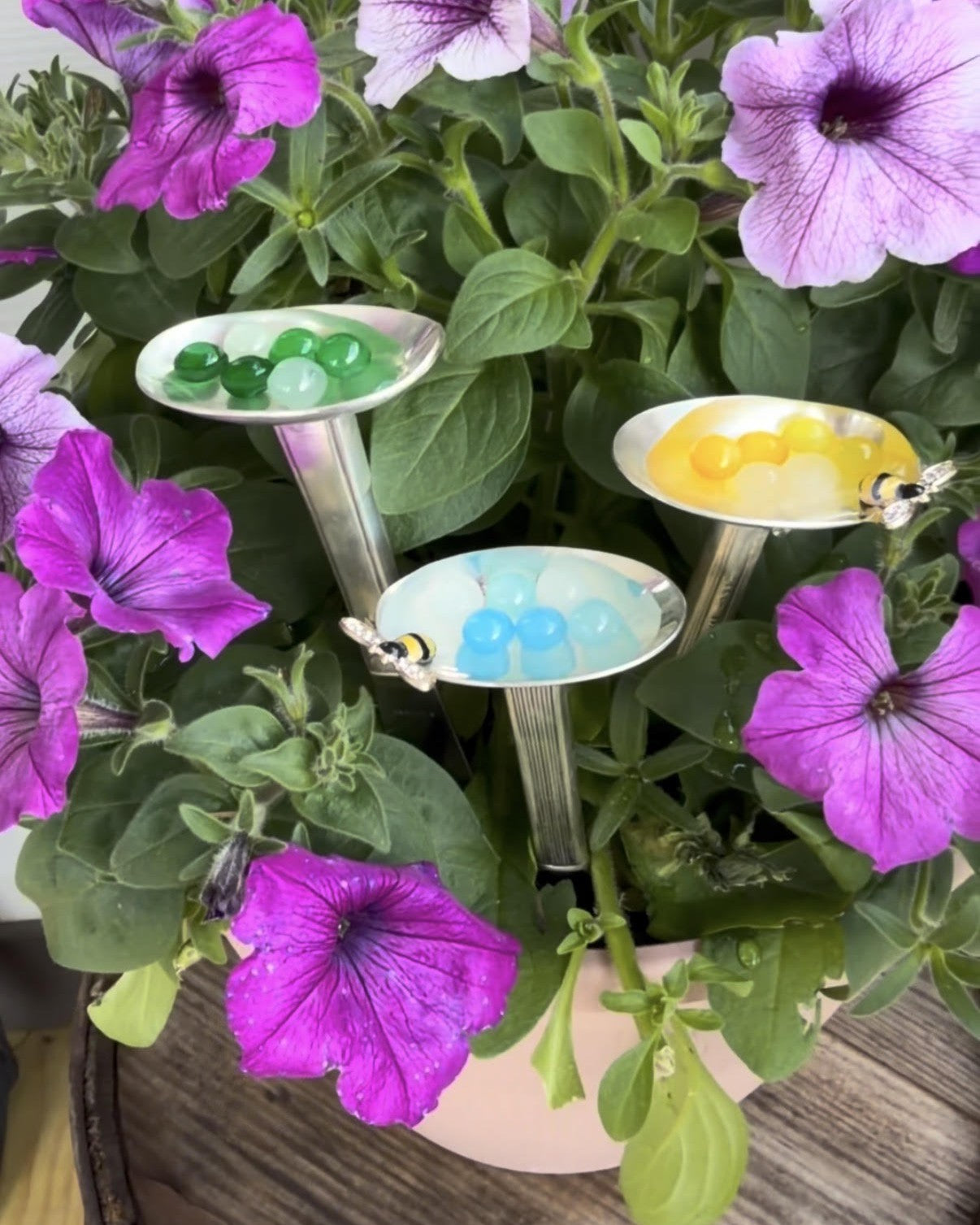 Garden & Outdoors - Coming Soon!