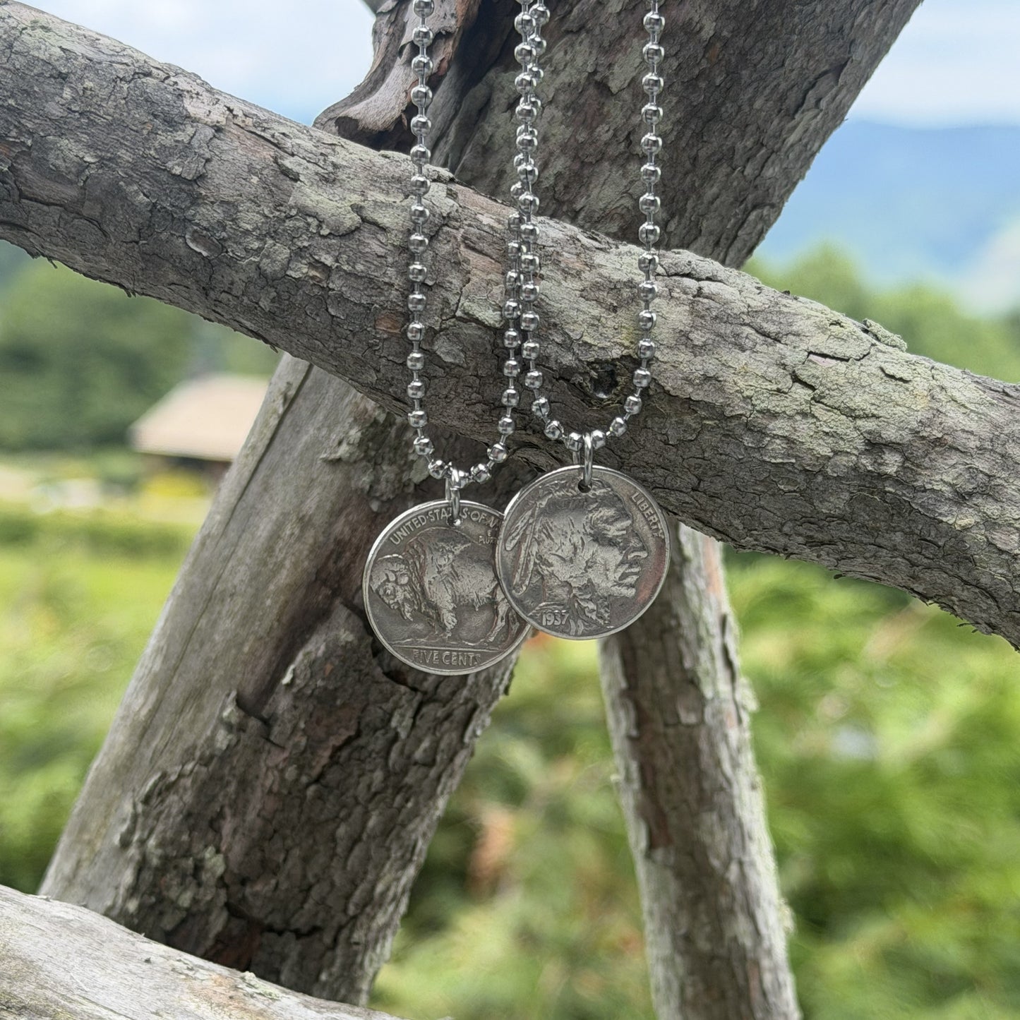 Buffalo Nickel Necklace