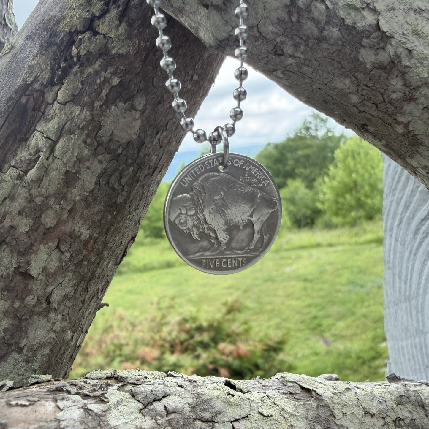Buffalo Nickel Necklace