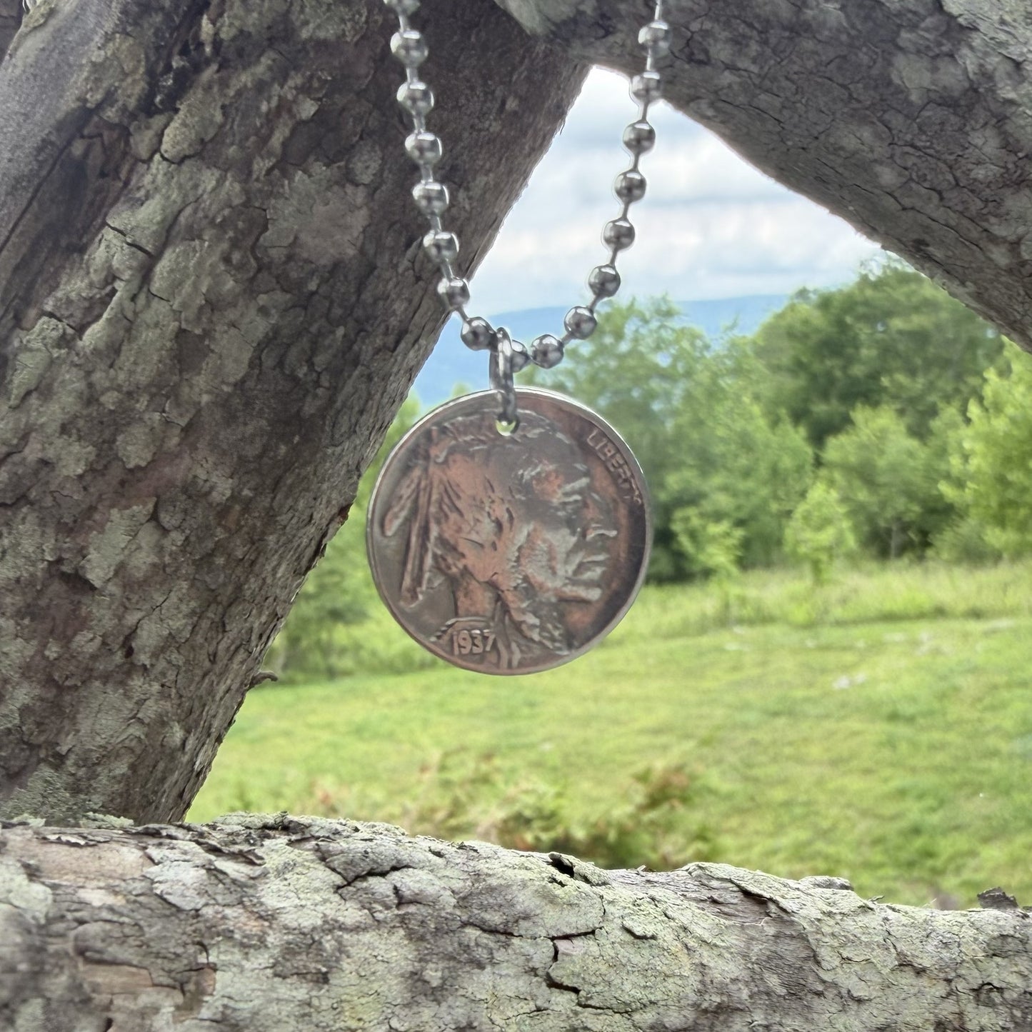 Buffalo Nickel Necklace